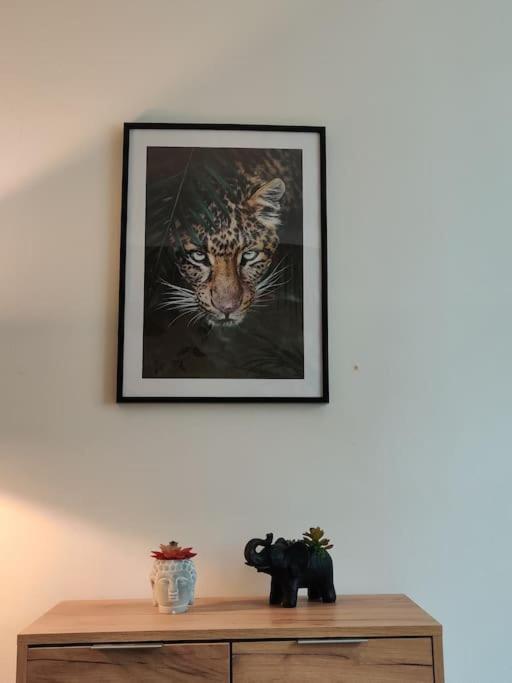 La Jungle Urbaine Avec Garage Prive & Climatisation Apartment Перпинян Екстериор снимка