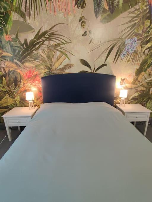 La Jungle Urbaine Avec Garage Prive & Climatisation Apartment Перпинян Екстериор снимка